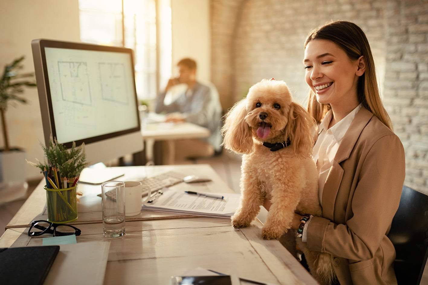 Animali con noi in ufficio: normative e benefici
