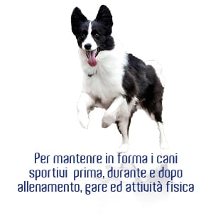 61af2f9f12f219c7079879d8