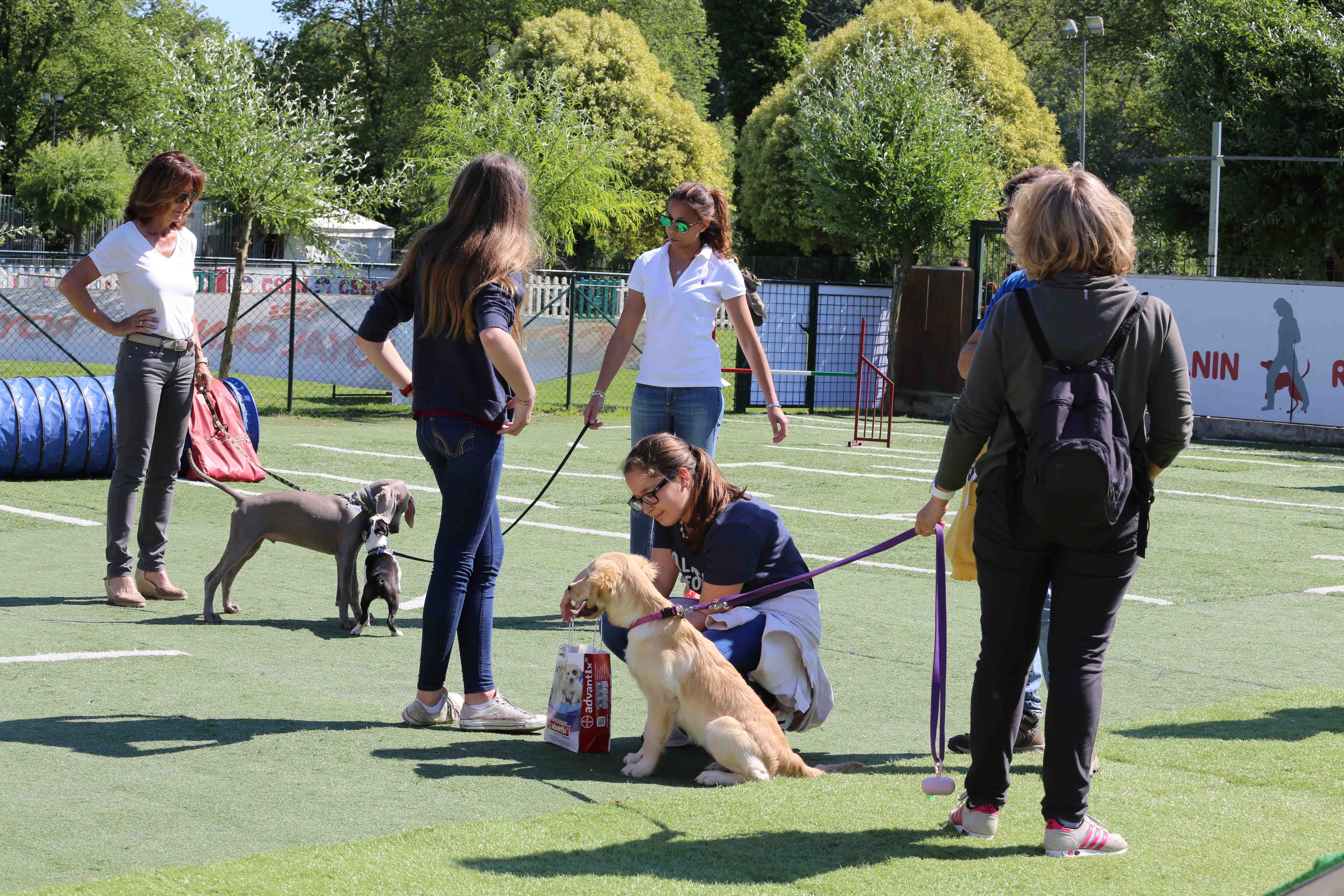 L&rsquo;ABC PER VIVERE (CORRETTAMENTE) CON UN CANE