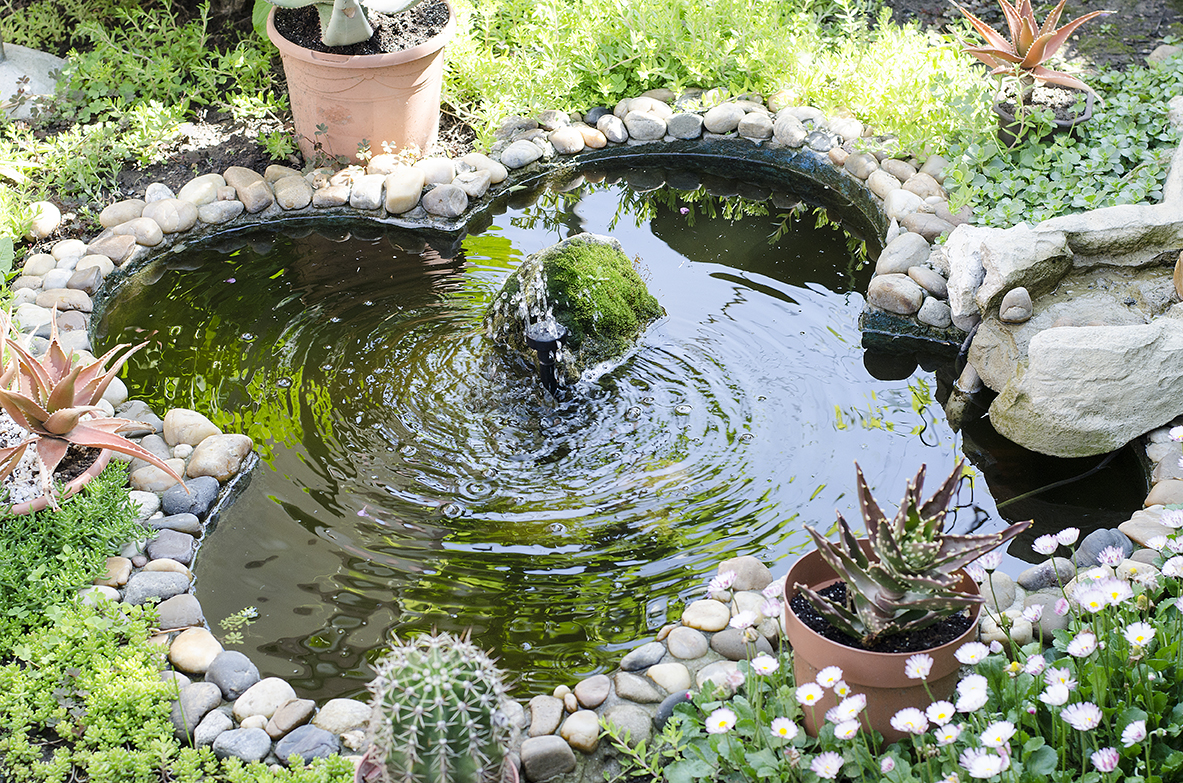 Laghetto artificiale: un angolo di natura in giardino