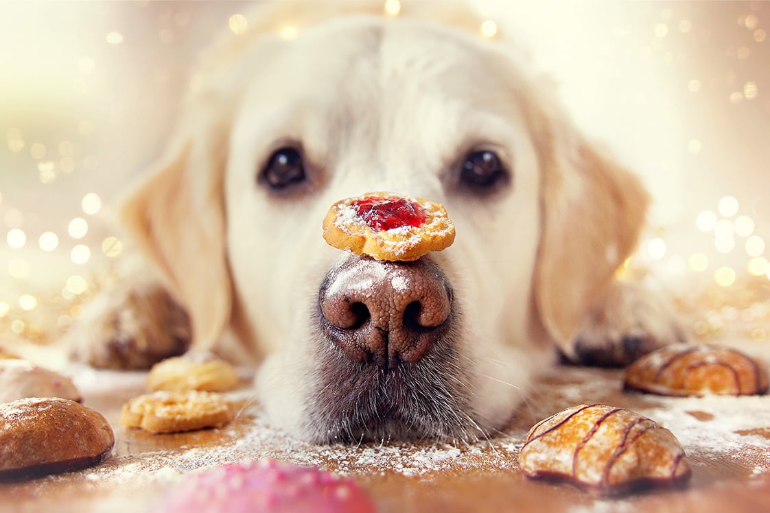A NATALE, ATTENTI A TAVOLA!