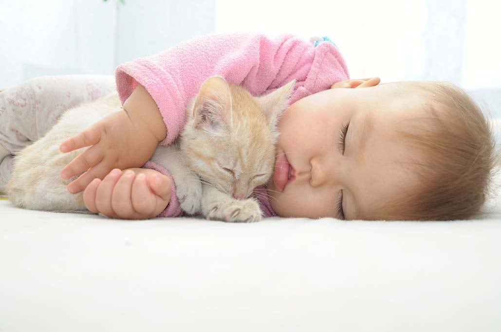 BEB&Egrave; IN ARRIVO: IL FELINO DI CASA PU&Ograve; RESTARE!