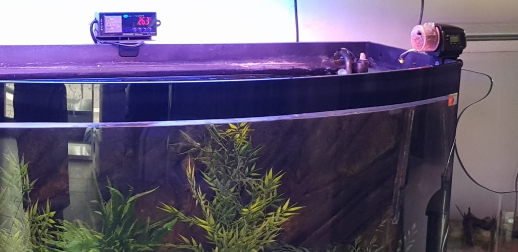 L&rsquo;acquario&hellip; non va in vacanza!