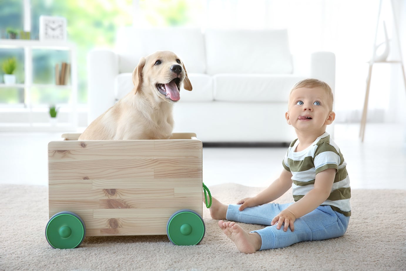 PET IN FAMIGLIA? CASA PULITA!