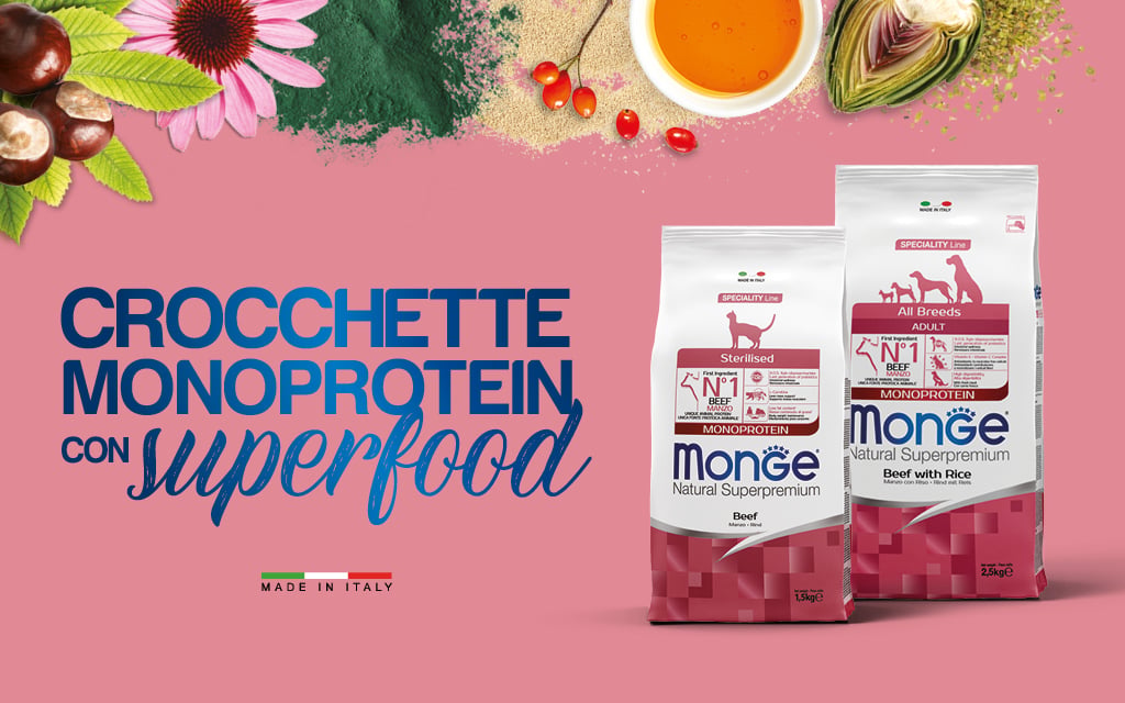 Monge Vetsolution